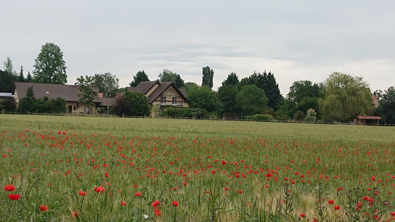 Gite Du Clos Paisible Jebsheim Exteriör bild